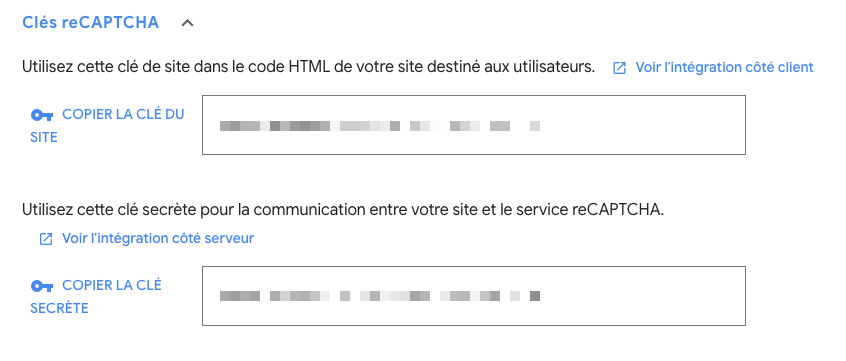 google-recaptcha-keys.png